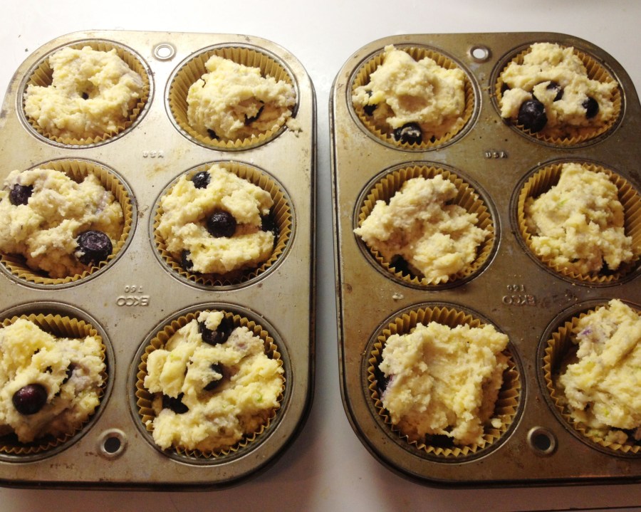 blueberry muffins