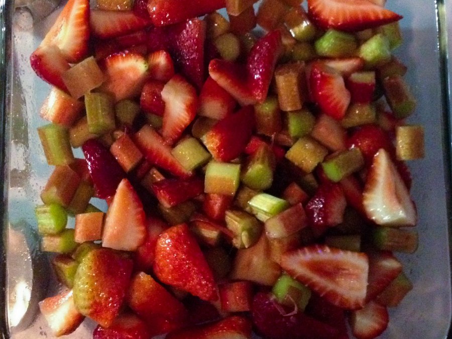 Rhubarb Crumble Food Blog (1 of 1)-2